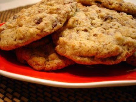 Pumpkin Chocolate Chip Cookies - for web