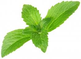 Stevia Nature's Natural Sweetener